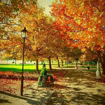 Almadi Balatonalmádi