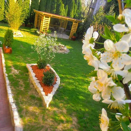 Almadi Apartment *